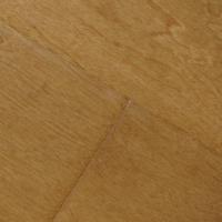 Birch HS Collection:<br /> Honey