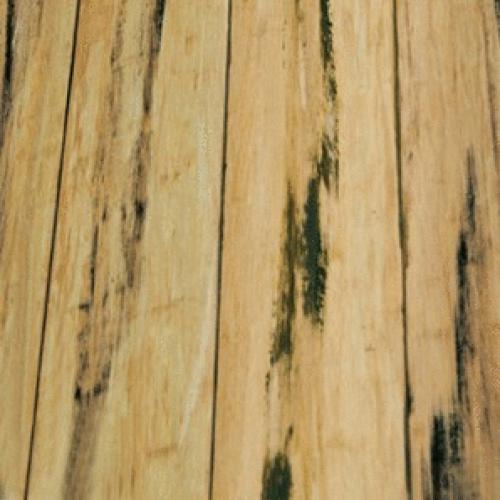 Bamboo Solid:<br /> Distressed Natural